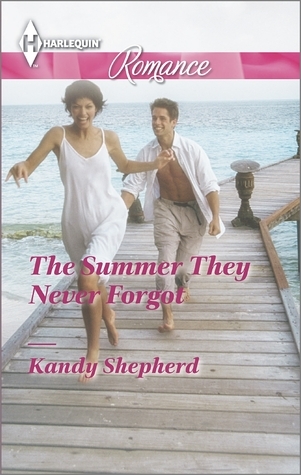 The Summer They Never Forgot book cover