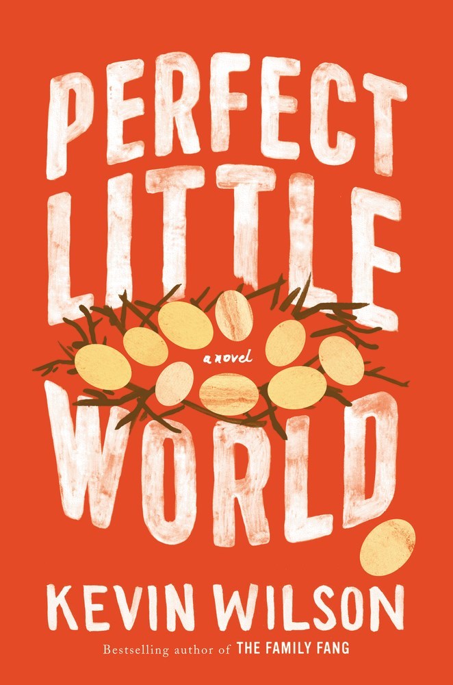 Perfect Little World book cover