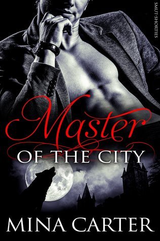 Master of the City book cover 1