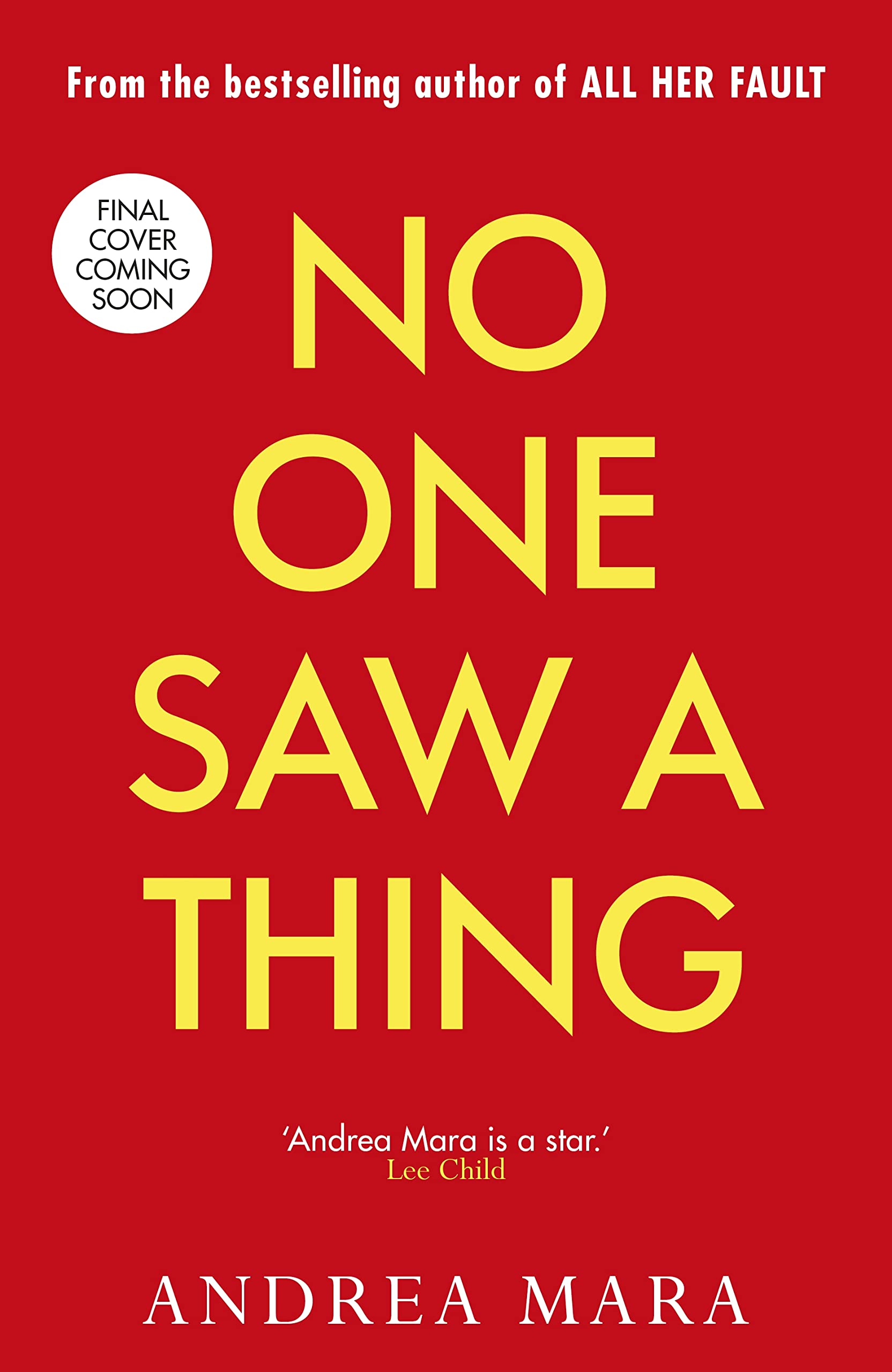 No One Saw a Thing book cover