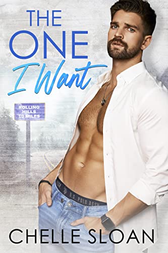 The One I Want book cover