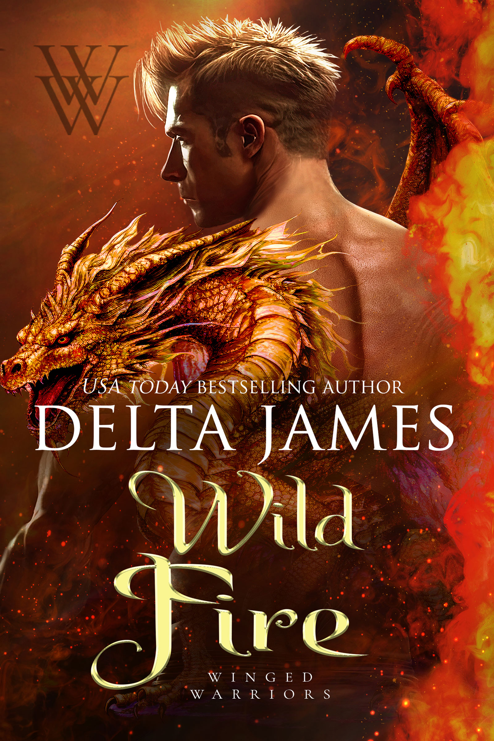 Wild Fire book cover
