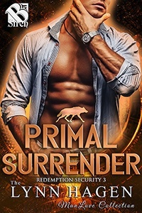 Redemption Security book cover 3