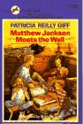 Matthew Jackson Meets the Wall book cover