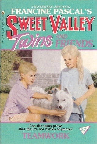 Teamwork book cover