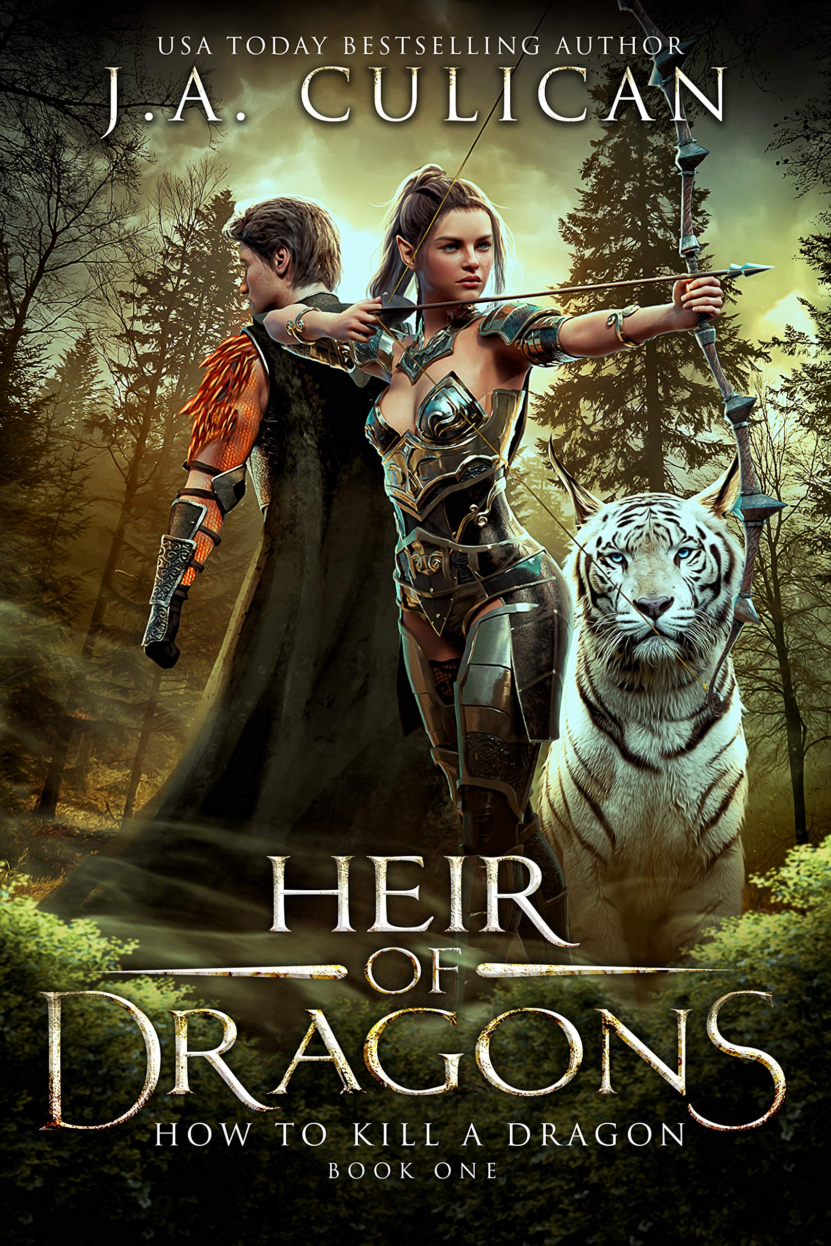 Heir of Dragons book cover 1