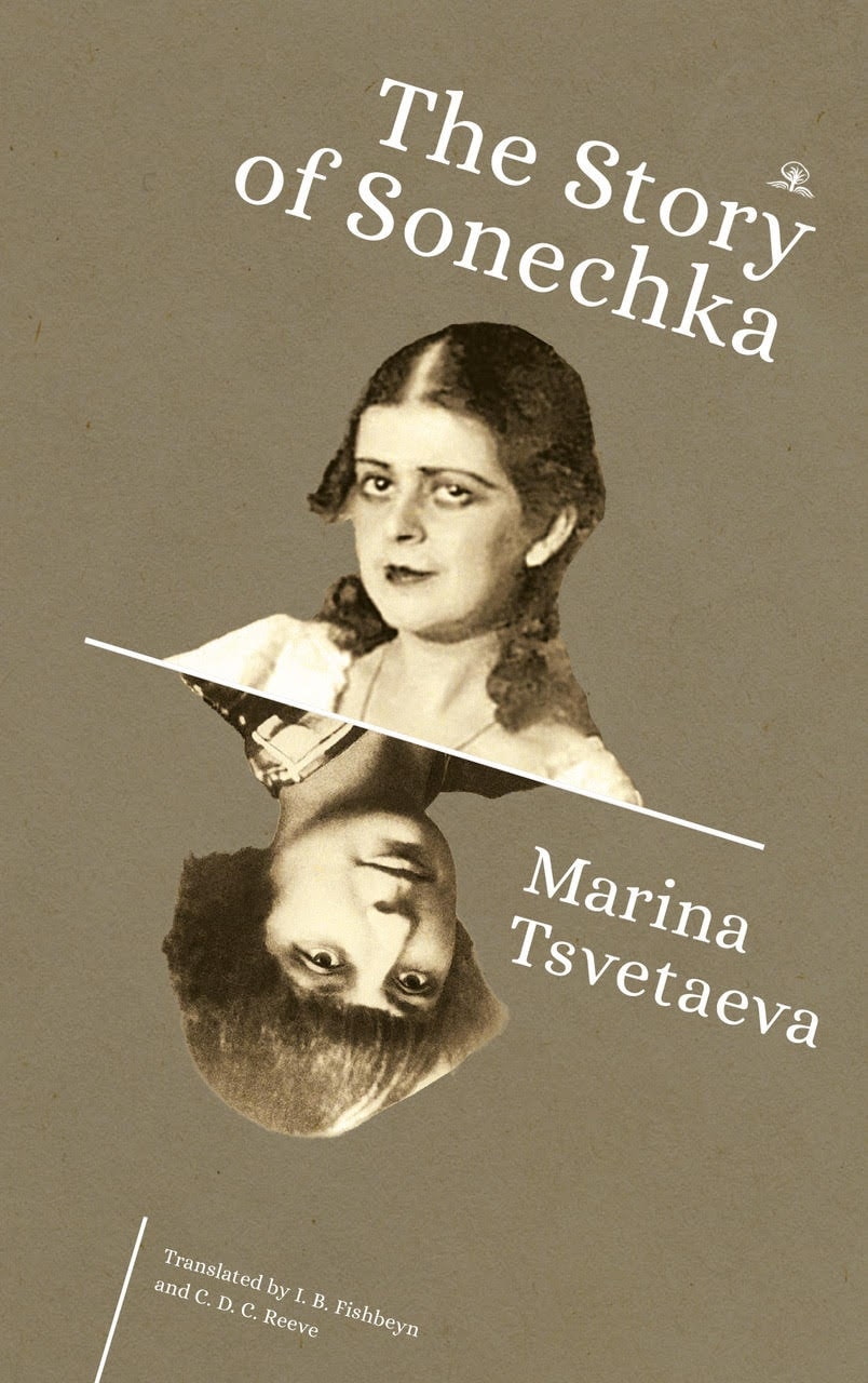 The Story of Sonechka book cover