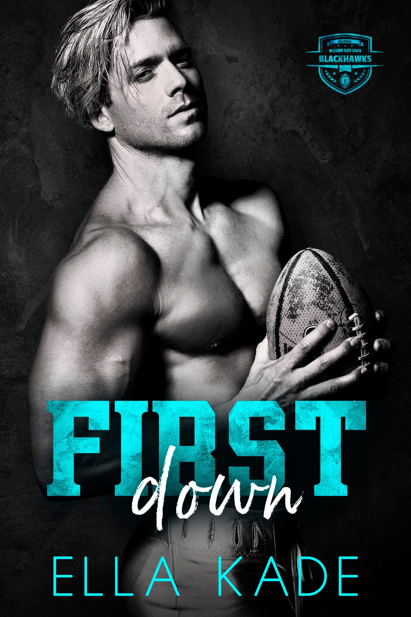 Willow Bay book cover 2