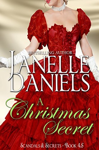 A Christmas Secret book cover