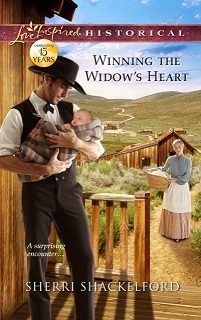 Prairie Courtships book cover 1