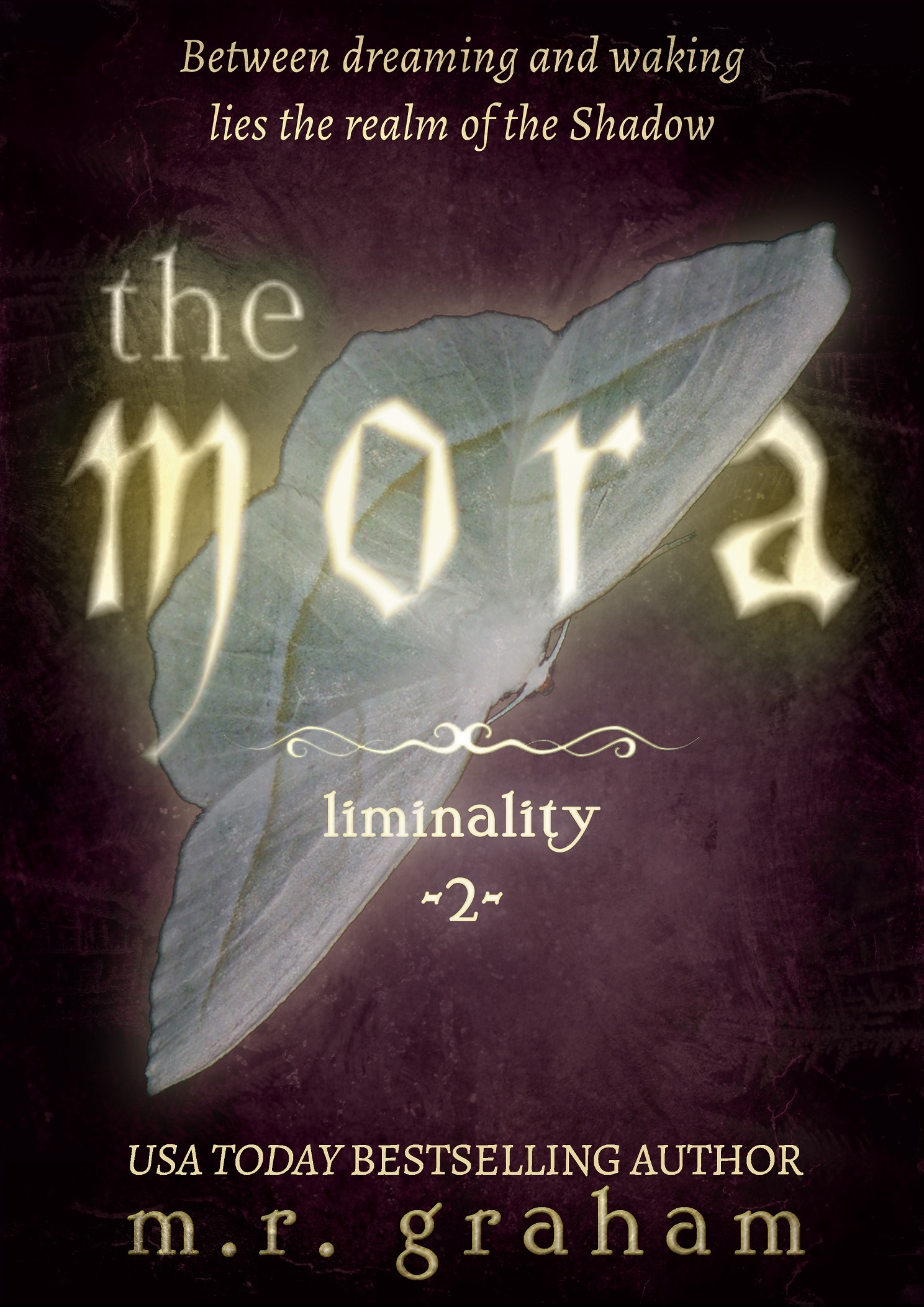 Liminality book cover 2
