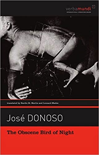 The Obscene Bird of Night book cover