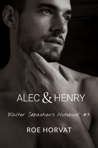Walter Sébastien’s Notebook book cover 3