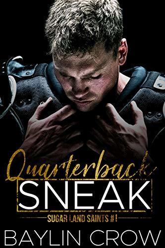 Sugar Land Saints book cover 1