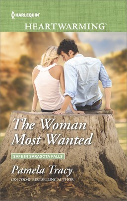 Safe in Sarasota Falls book cover 2