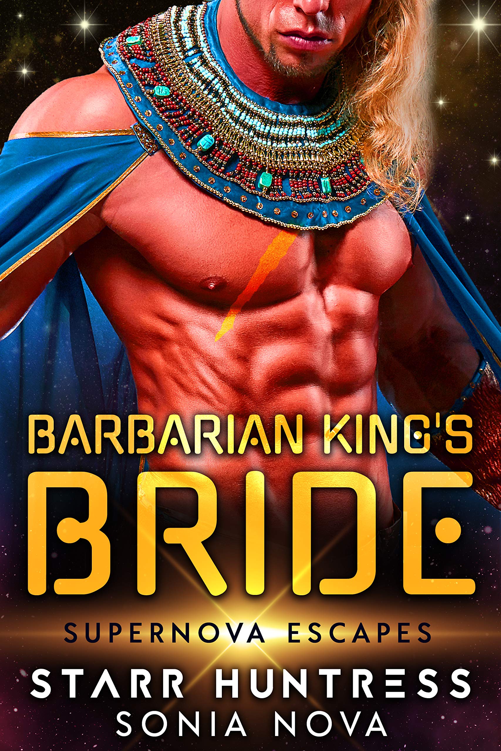 Barbarian King's Bride book cover