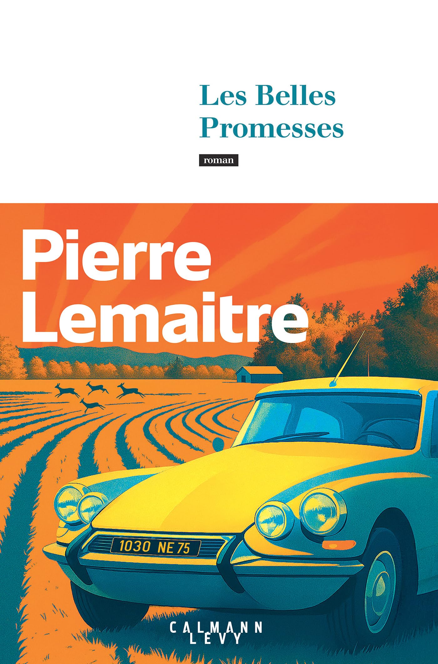 Les Belles Promesses book cover