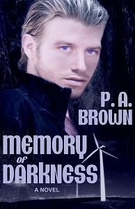 Memory Of Darkness book cover