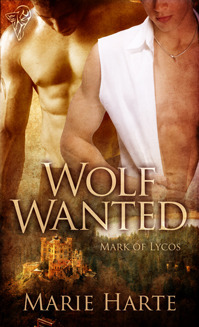 Mark of Lycos book cover 2