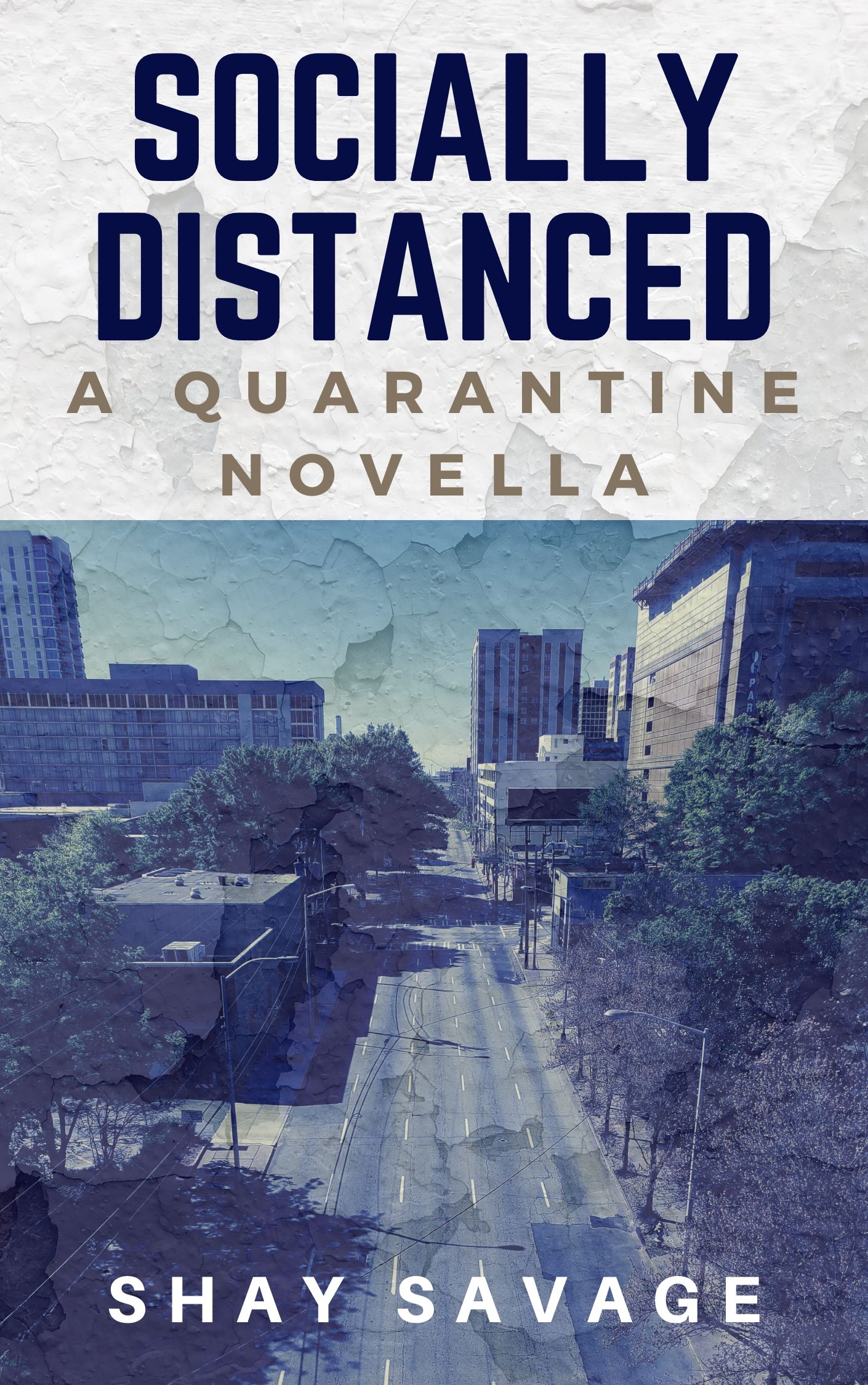 Socially Distanced book cover