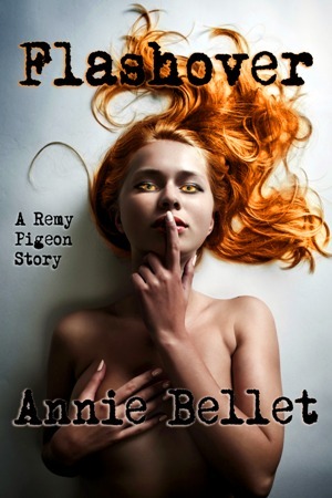 Remy Pigeon book cover 1