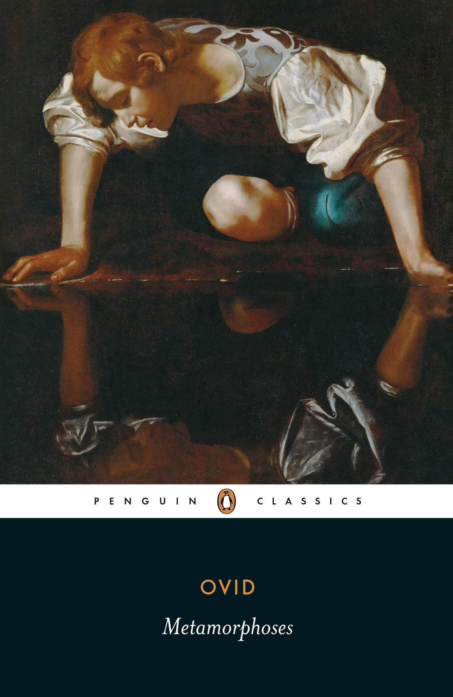 Metamorphosis book cover