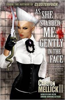 As She Stabbed Me Gently in the Face book cover