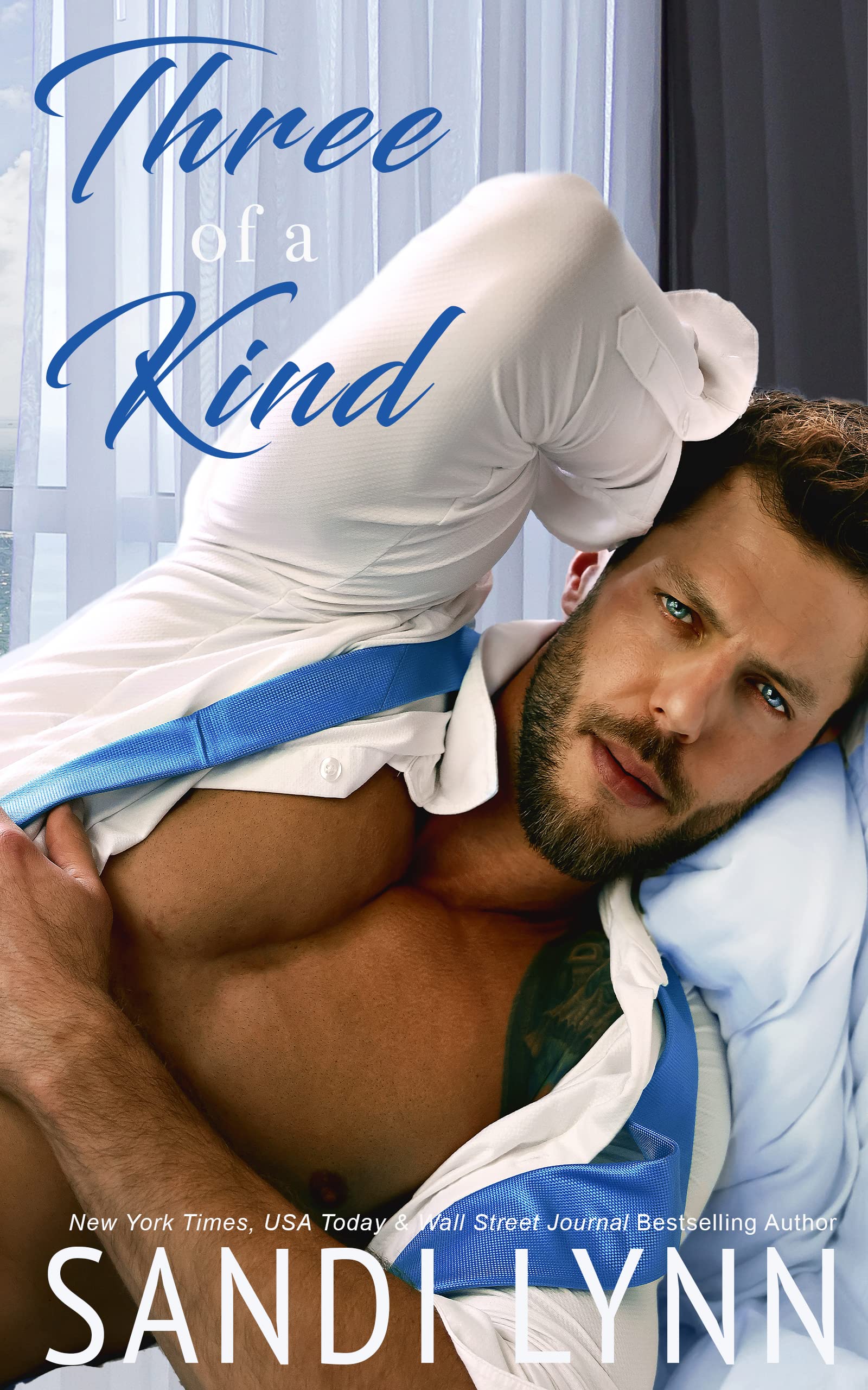 Kind Brothers book cover 3