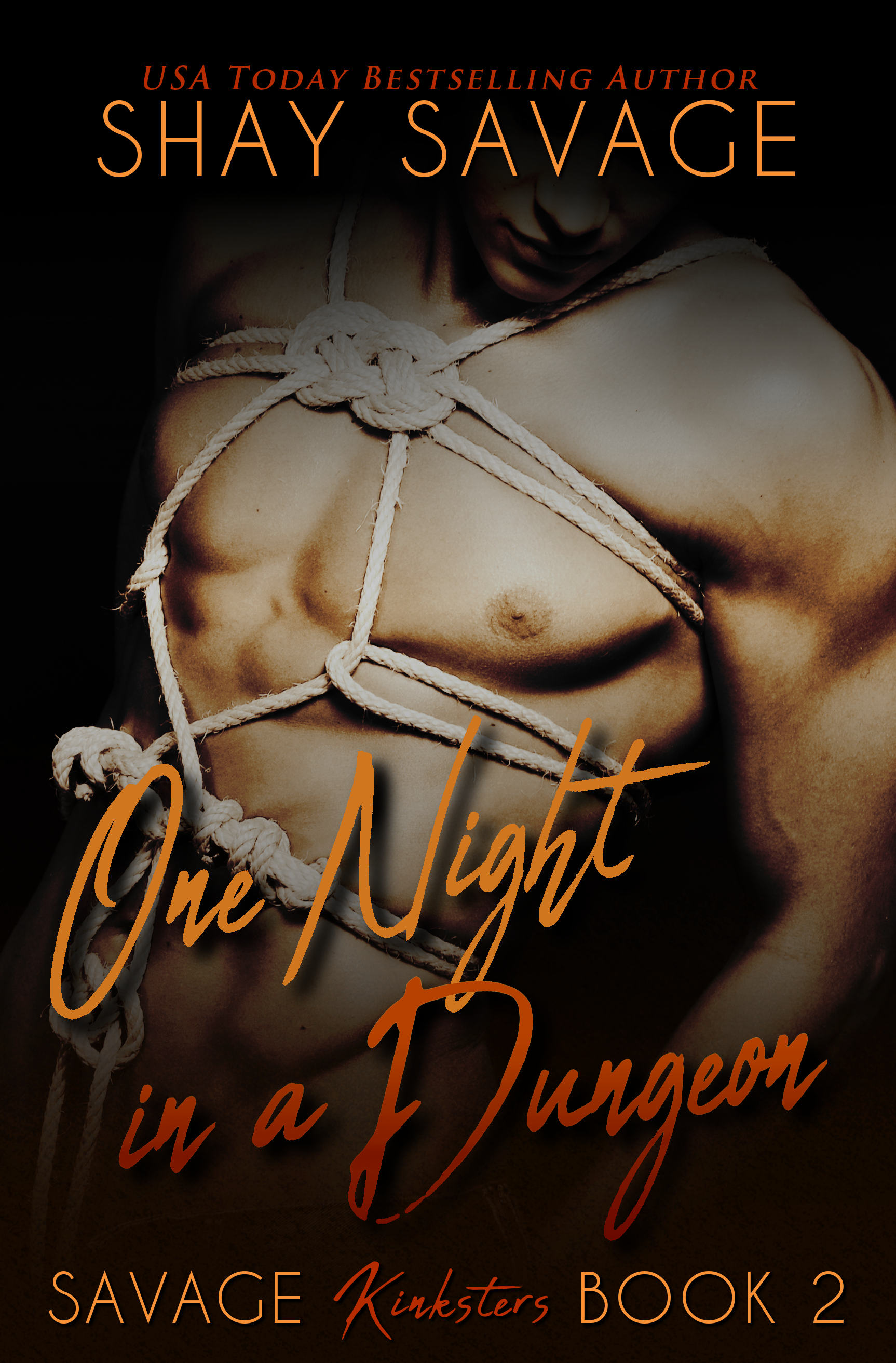 One Night in a Dungeon book cover