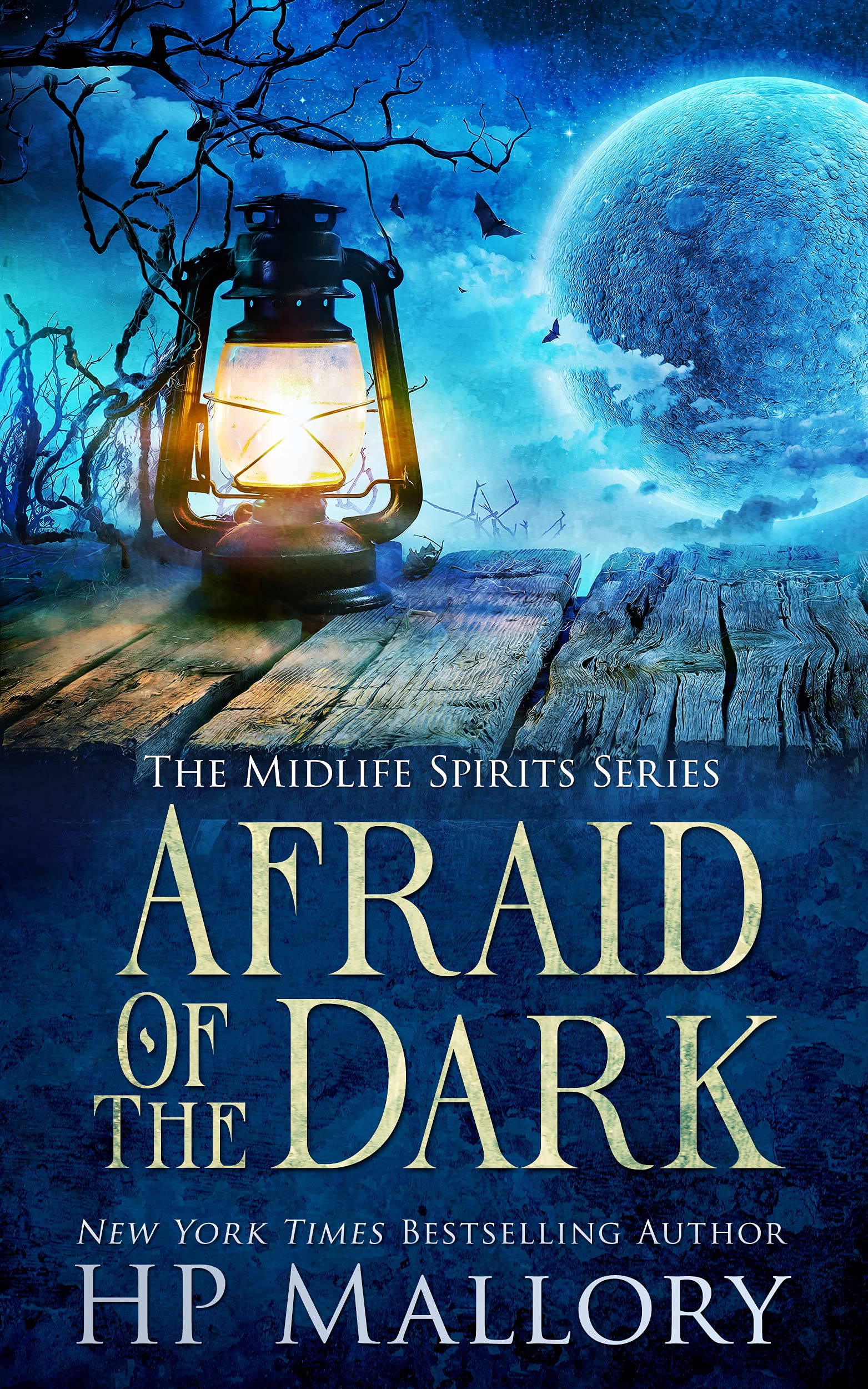 Midlife Spirits book cover 1