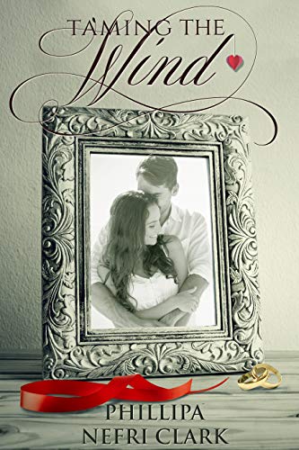 Taming The Wind book cover