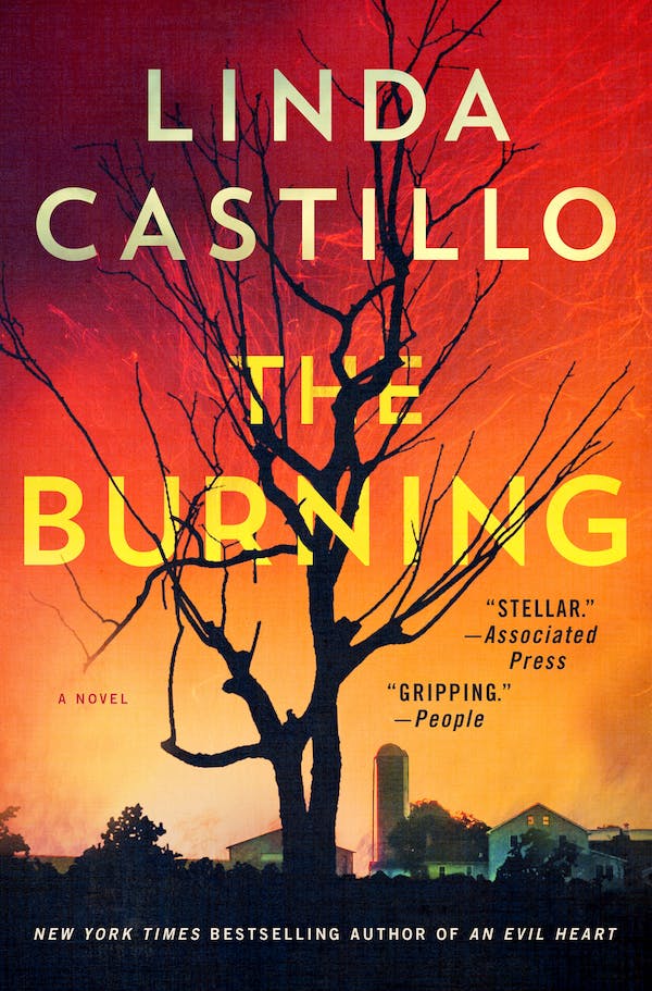 The Burning book cover