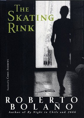 The Skating Rink book cover