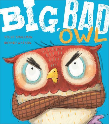 Big Bad Owl book cover