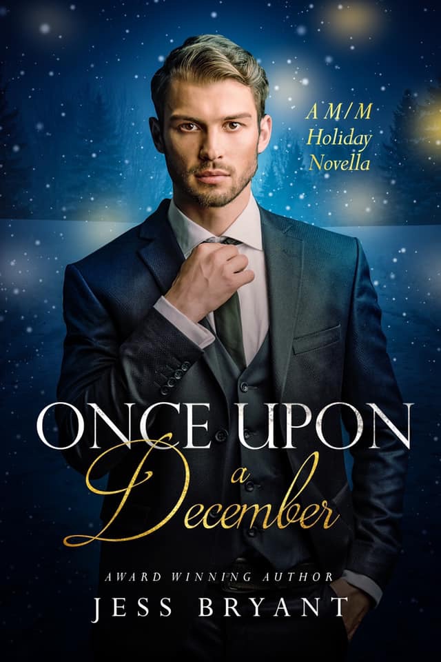 Once Upon a Holiday book cover 1