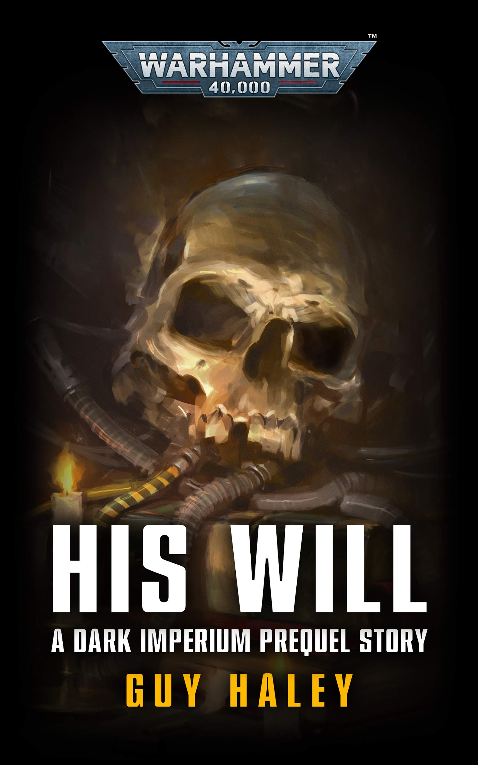 His Will book cover