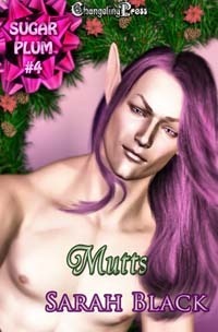 Sugarplum book cover