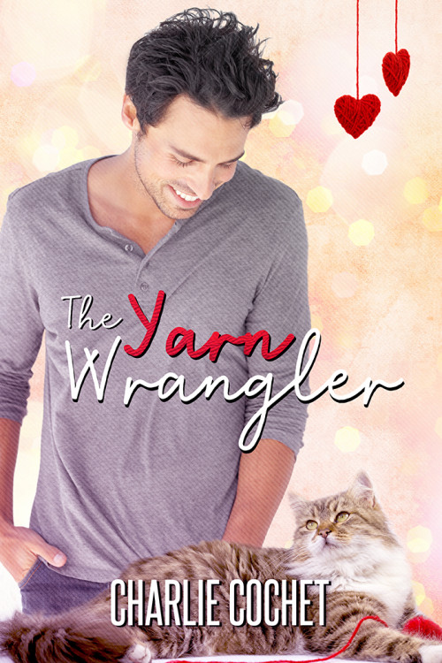 The Yarn Wrangler book cover