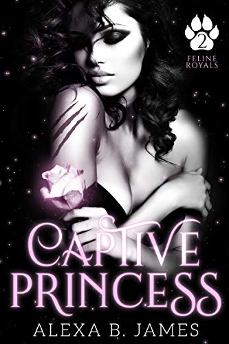 Captive Princess book cover