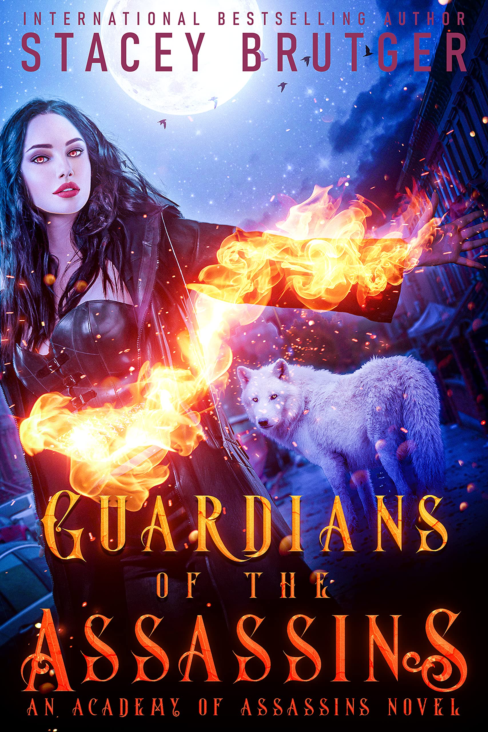 Guardians of the Assassins book cover