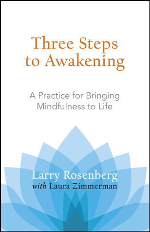 Three Steps to Awakening book cover