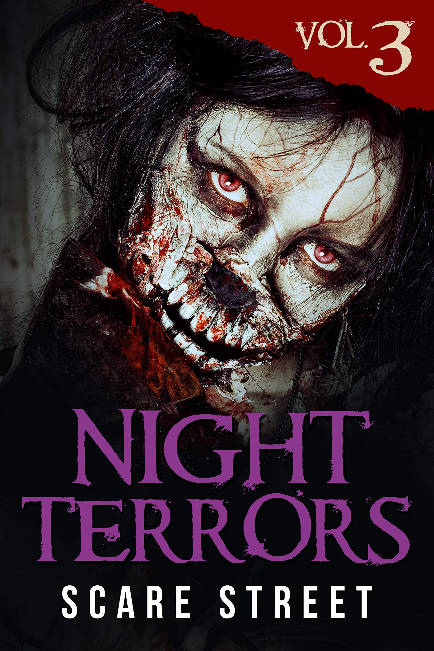 Night Terrors book cover 2