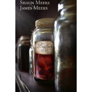 Brother's Ilk book cover