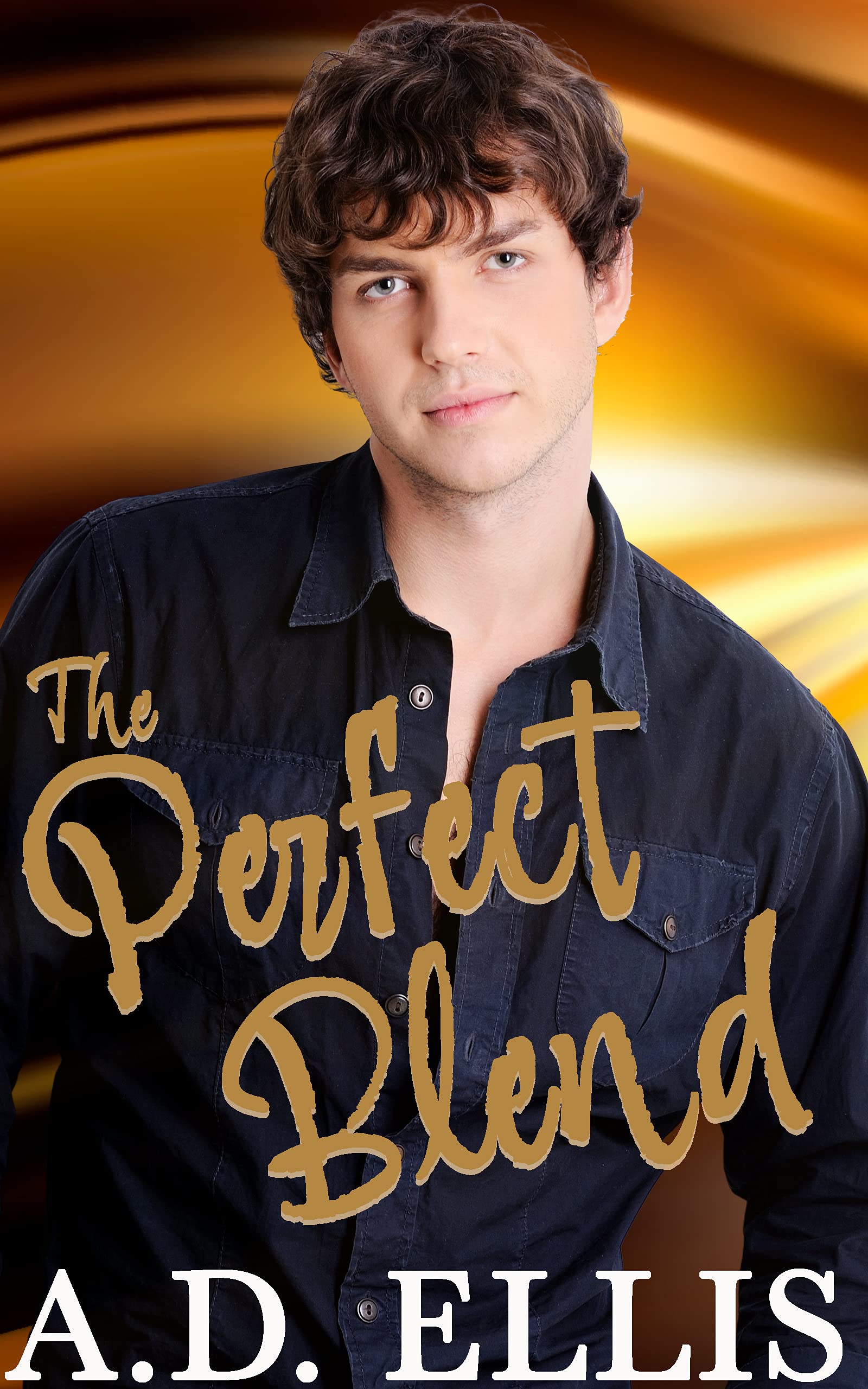The Perfect Blend book cover