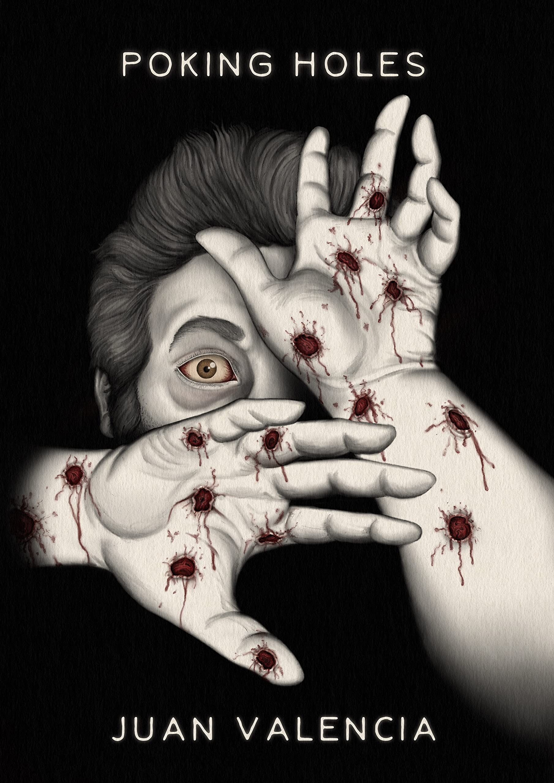 Poking Holes book cover