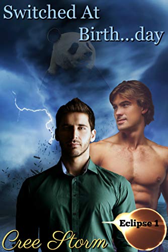 Eclipse book cover 1