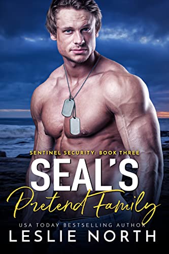 SEAL's Pretend Family book cover