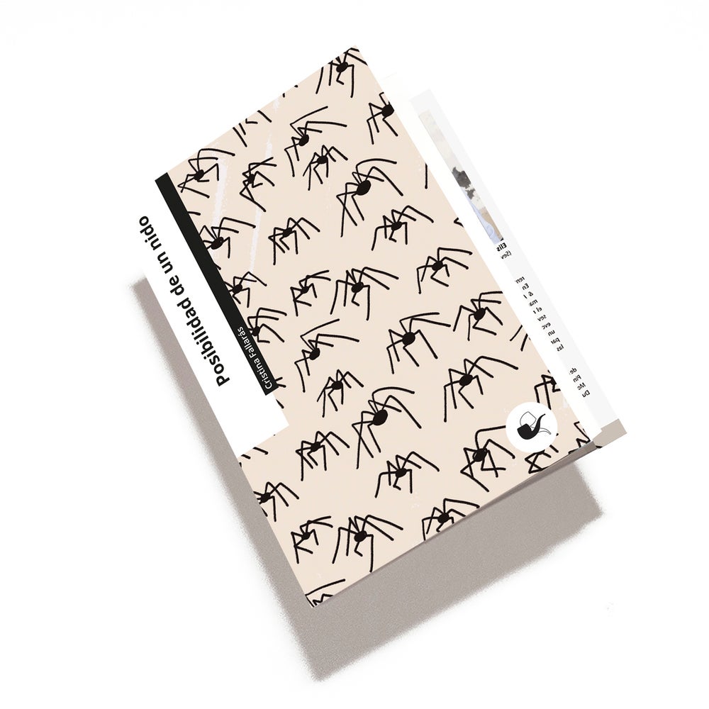 Posibilidad de un nido book cover