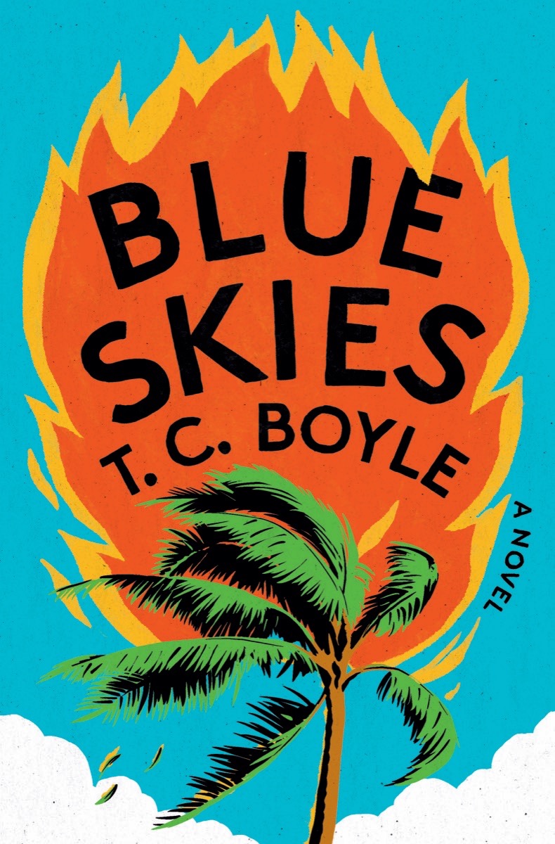 Blue Skies book cover
