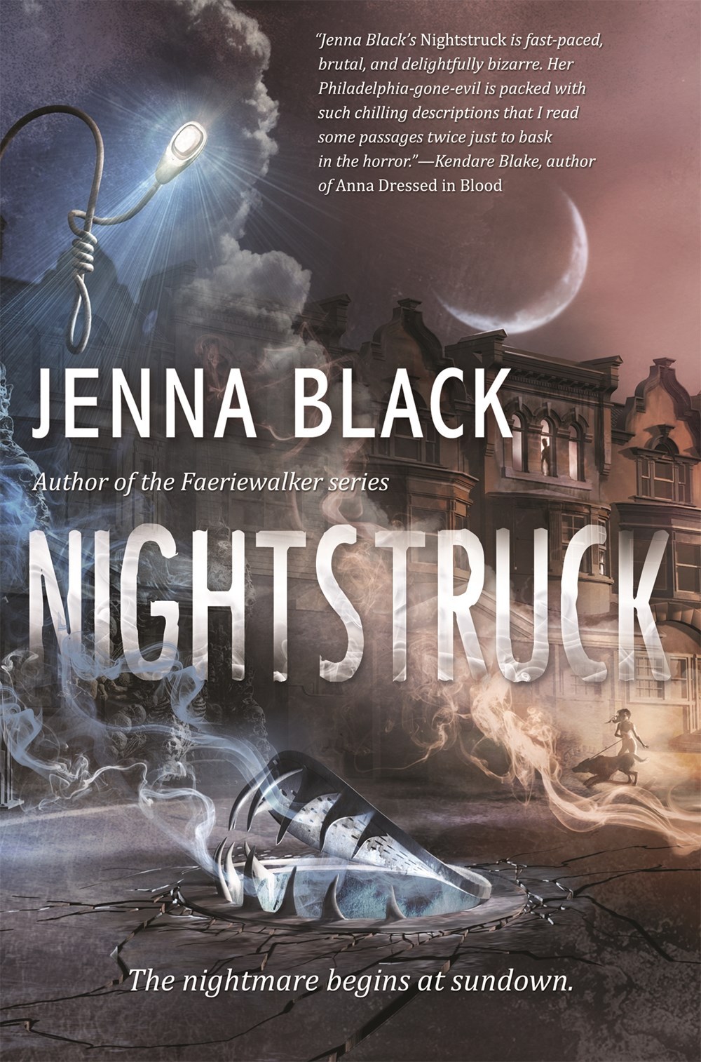 Nightstruck book cover 1